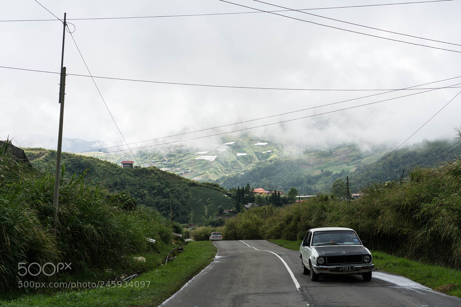 Sony a7R II sample photo. Road to taman negara photography