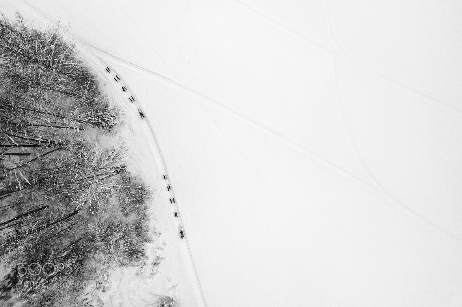 DJI FC220 sample photo. Taking the lead photography