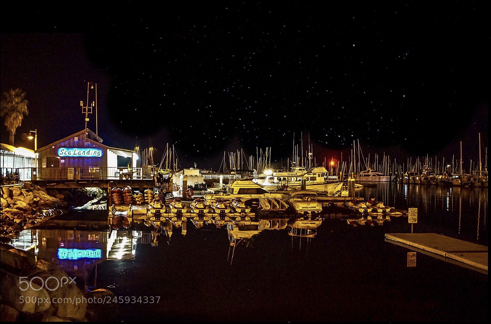 Sony a5100 sample photo. Nighttime at the harbor photography