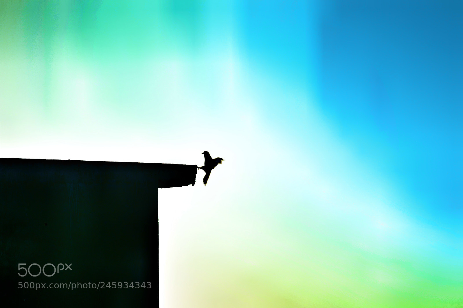 Canon EOS 700D (EOS Rebel T5i / EOS Kiss X7i) sample photo. Photo painting... photography