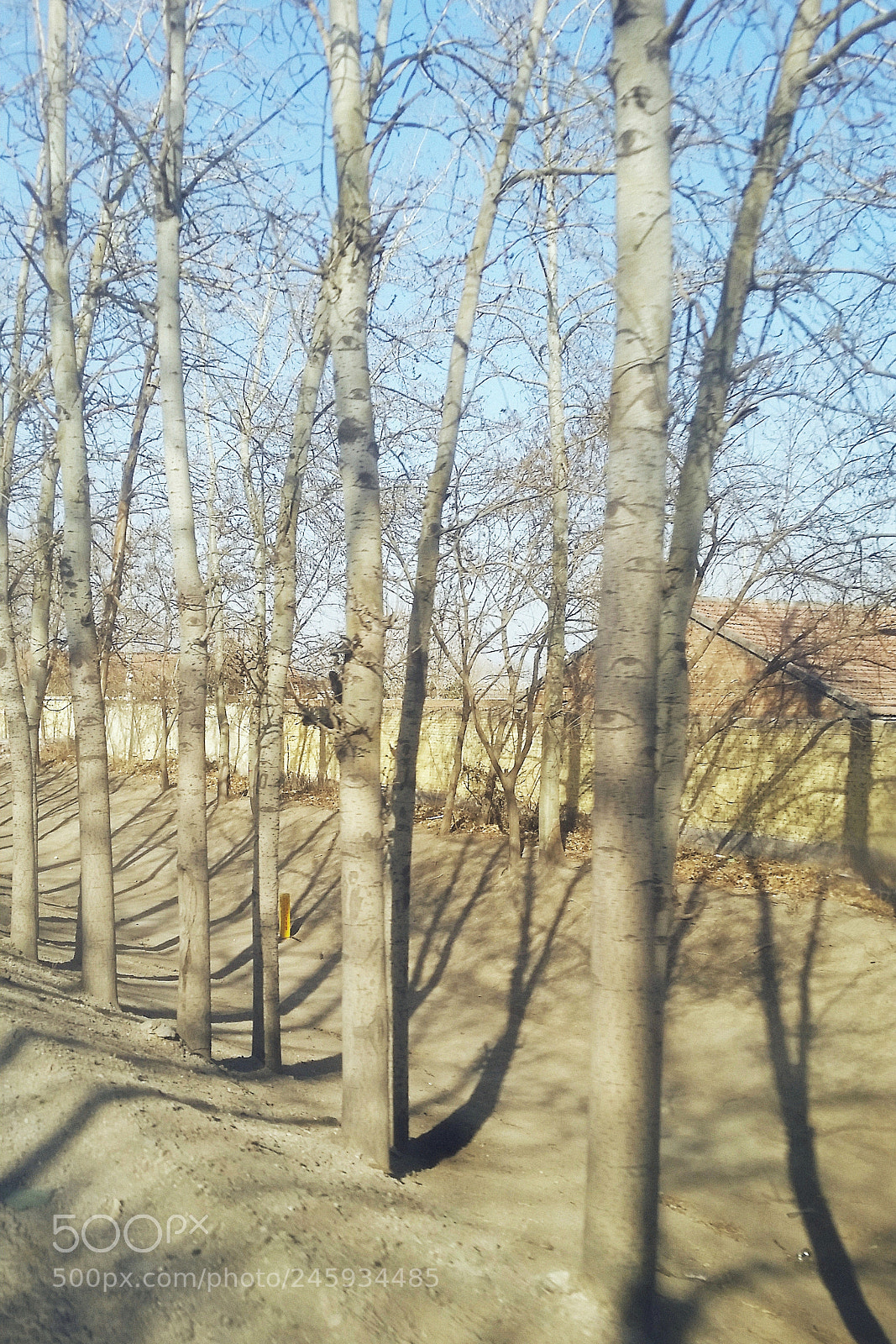 Samsung Galaxy S5 sample photo. There's a lot of photography