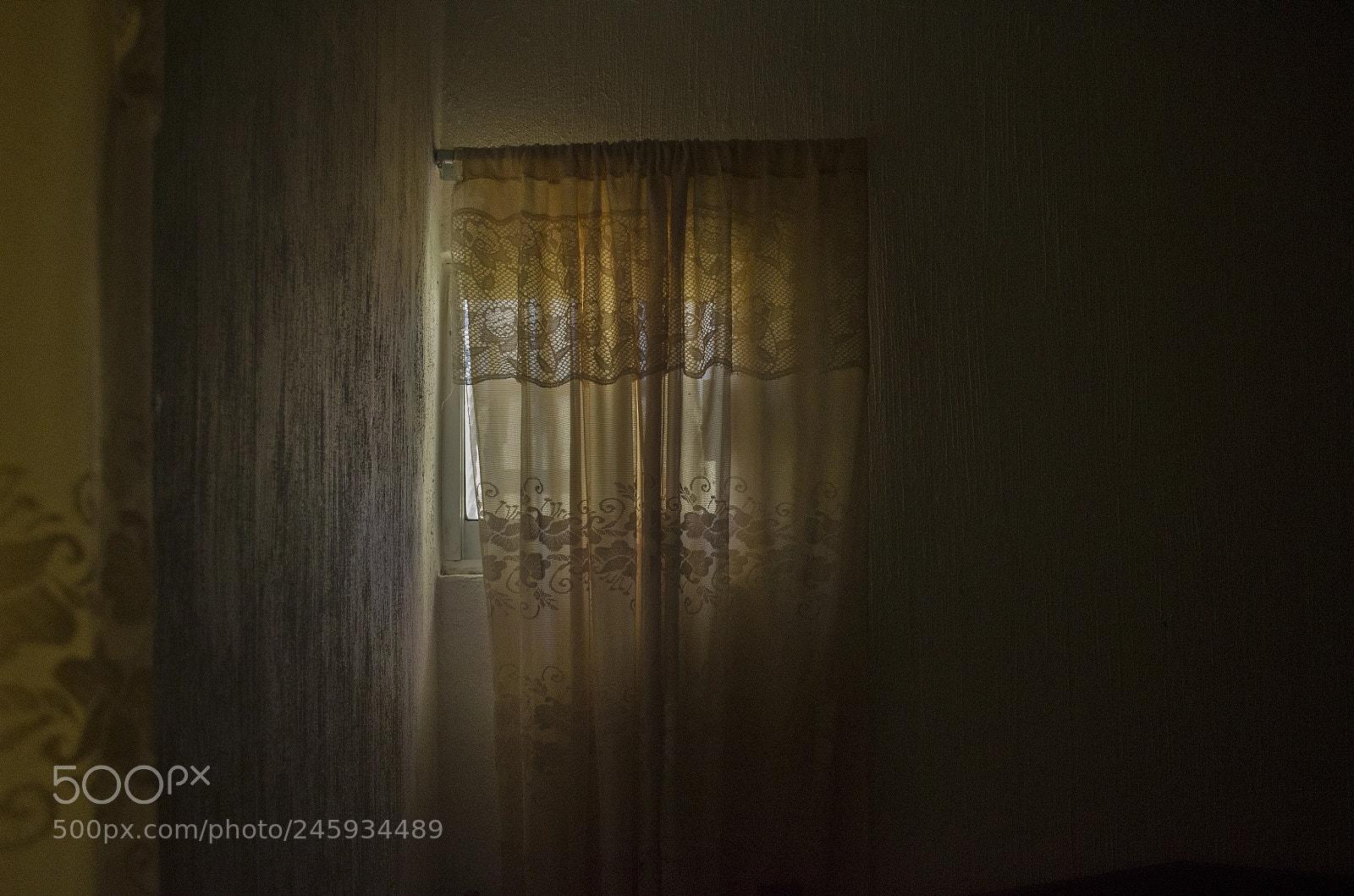Nikon D5100 sample photo. Peaceful photography
