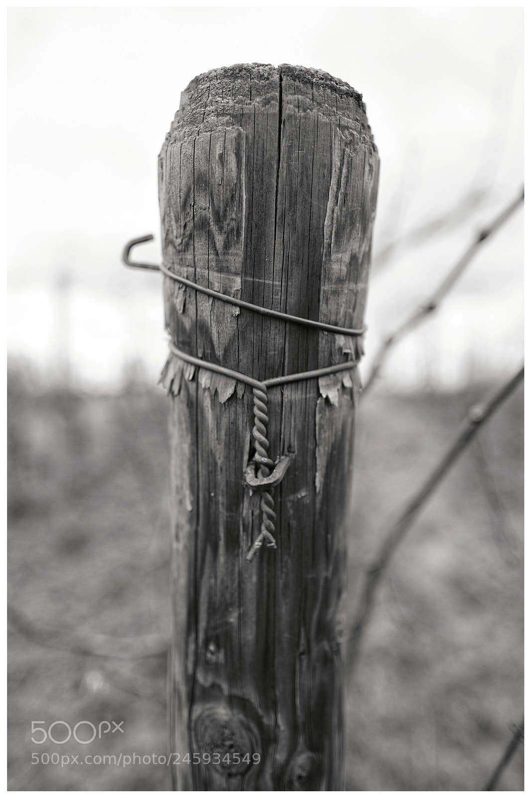 Fujifilm X-T20 sample photo. 'cramped' photography