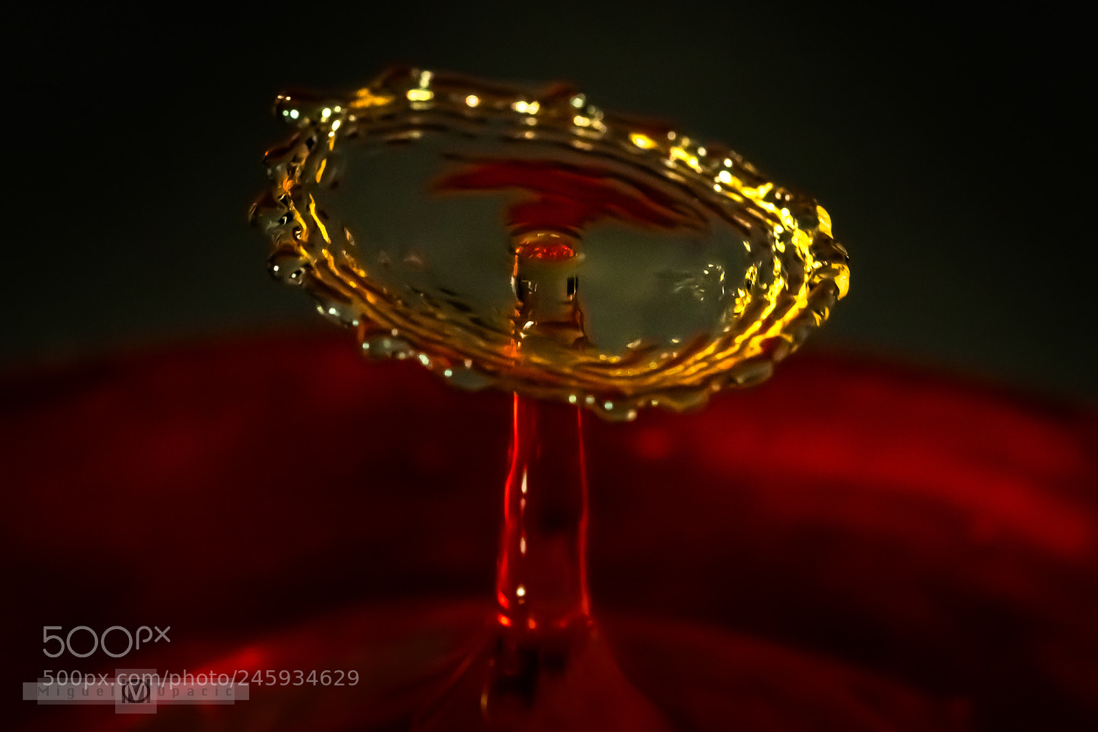 Nikon D850 sample photo. Water drops photography