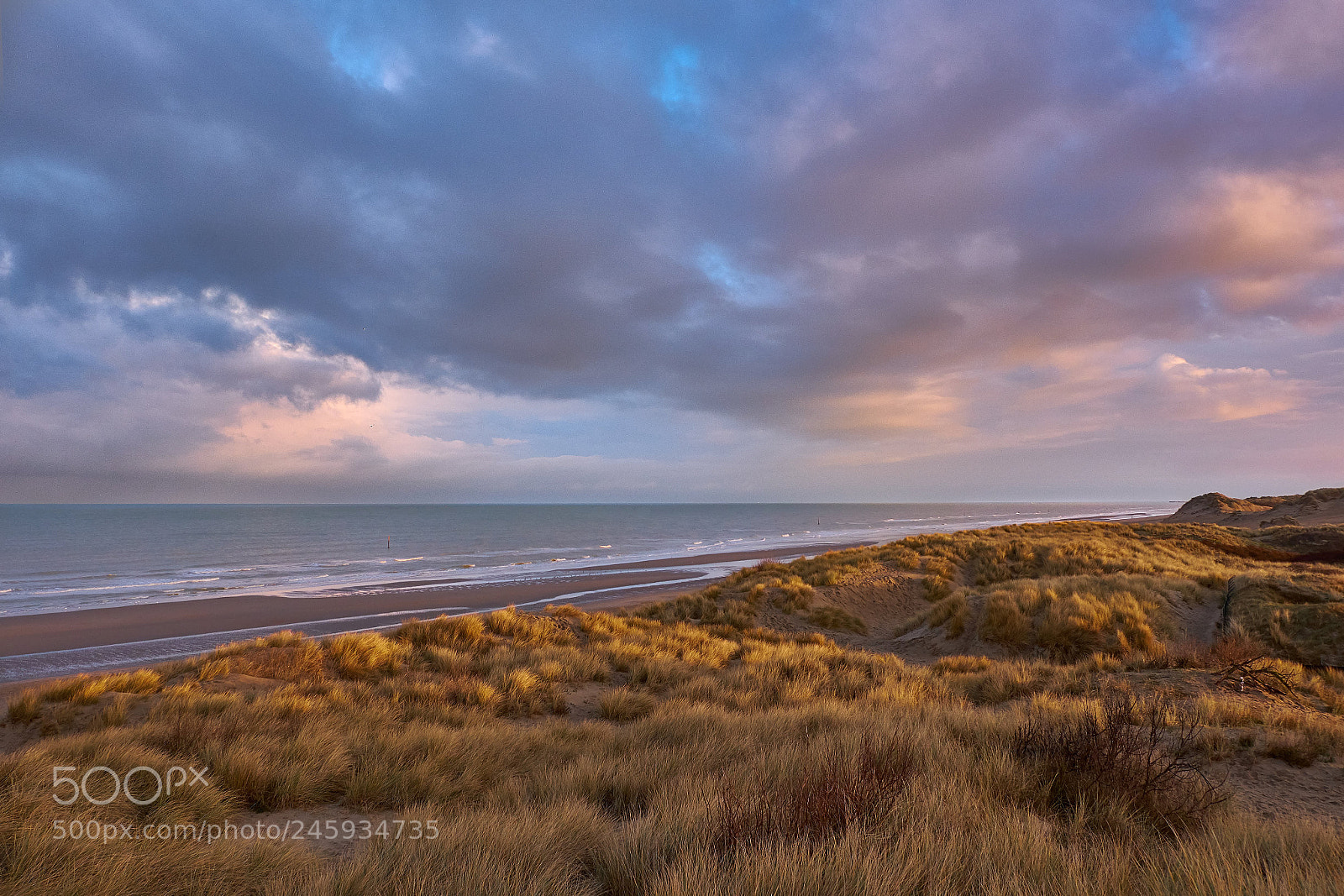 Fujifilm X-T20 sample photo. Belgian dunes photography