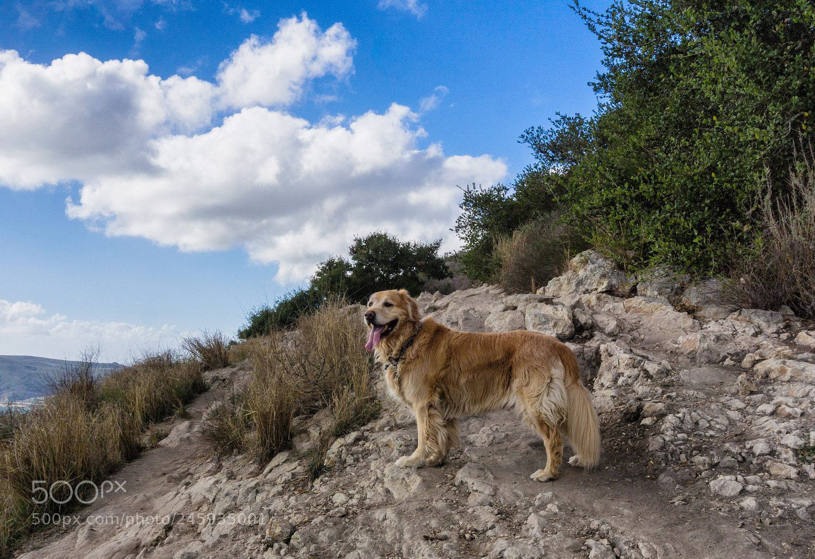 Sony a6000 sample photo. Hiking with parker photography