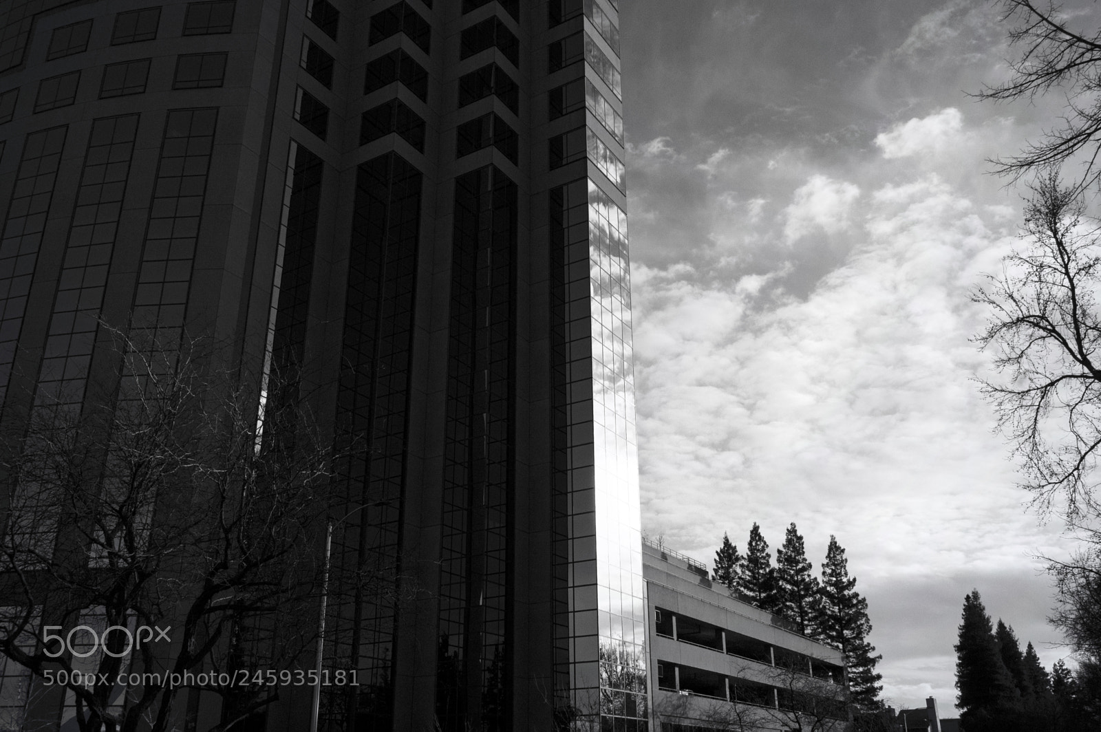 Panasonic Lumix DMC-G5 sample photo. Lumix emerald afternoon 492 bw photography