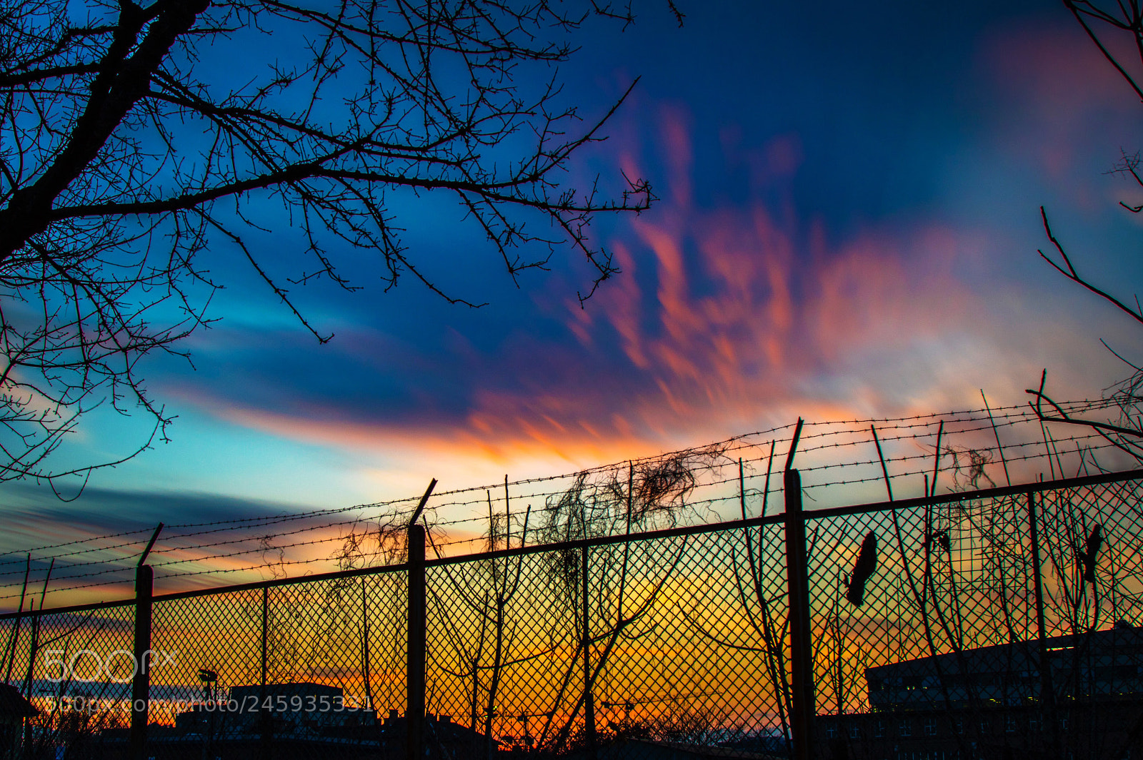 Canon EOS 750D (EOS Rebel T6i / EOS Kiss X8i) sample photo. The beyond limits photography