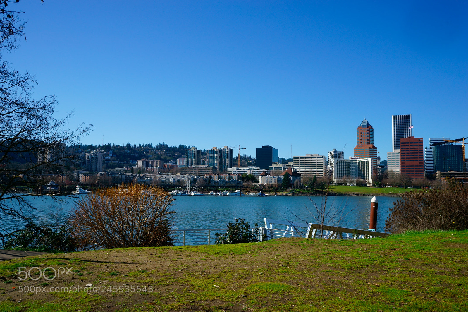 Sony a7 sample photo. Portland today photography
