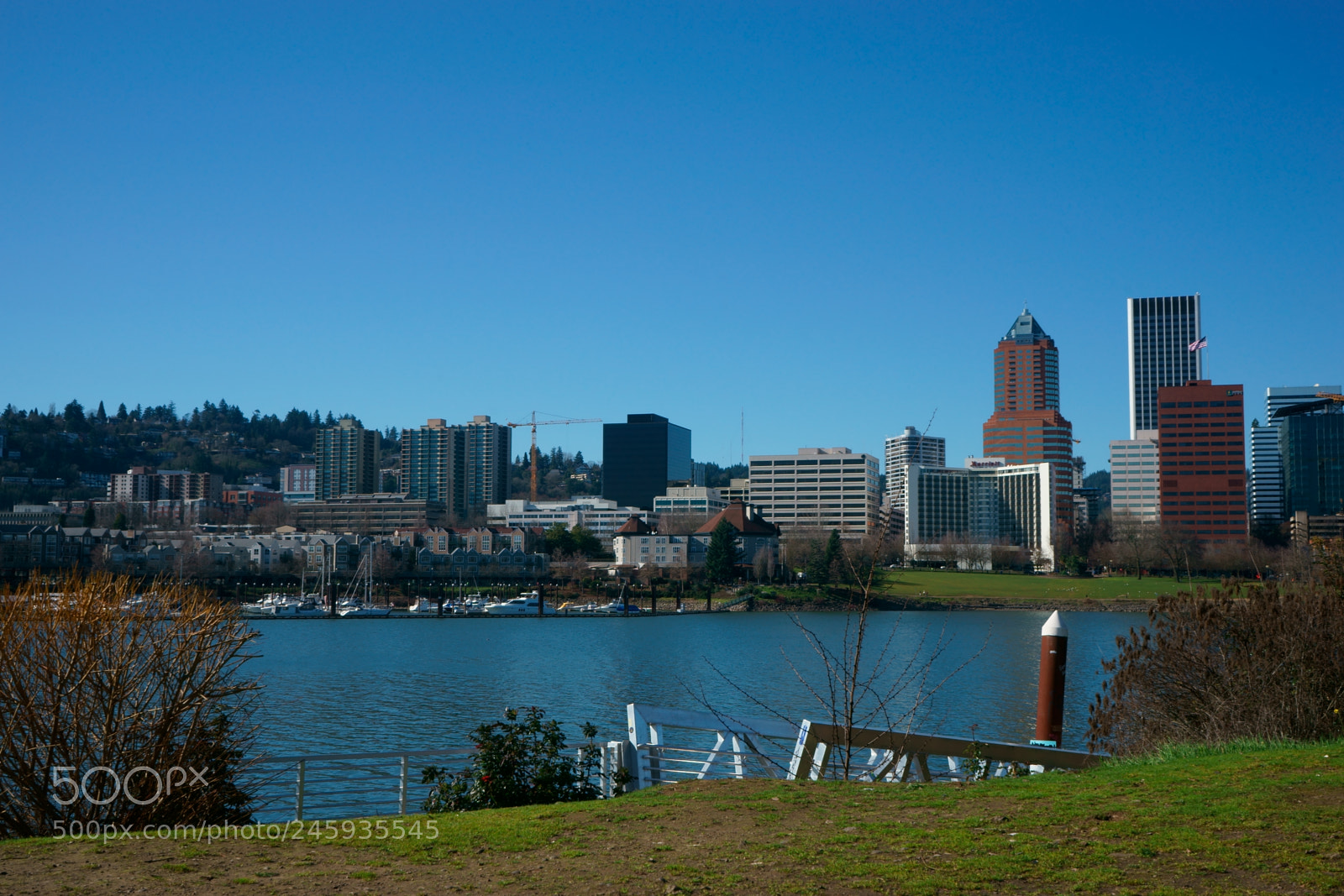 Sony a7 sample photo. Portland today photography