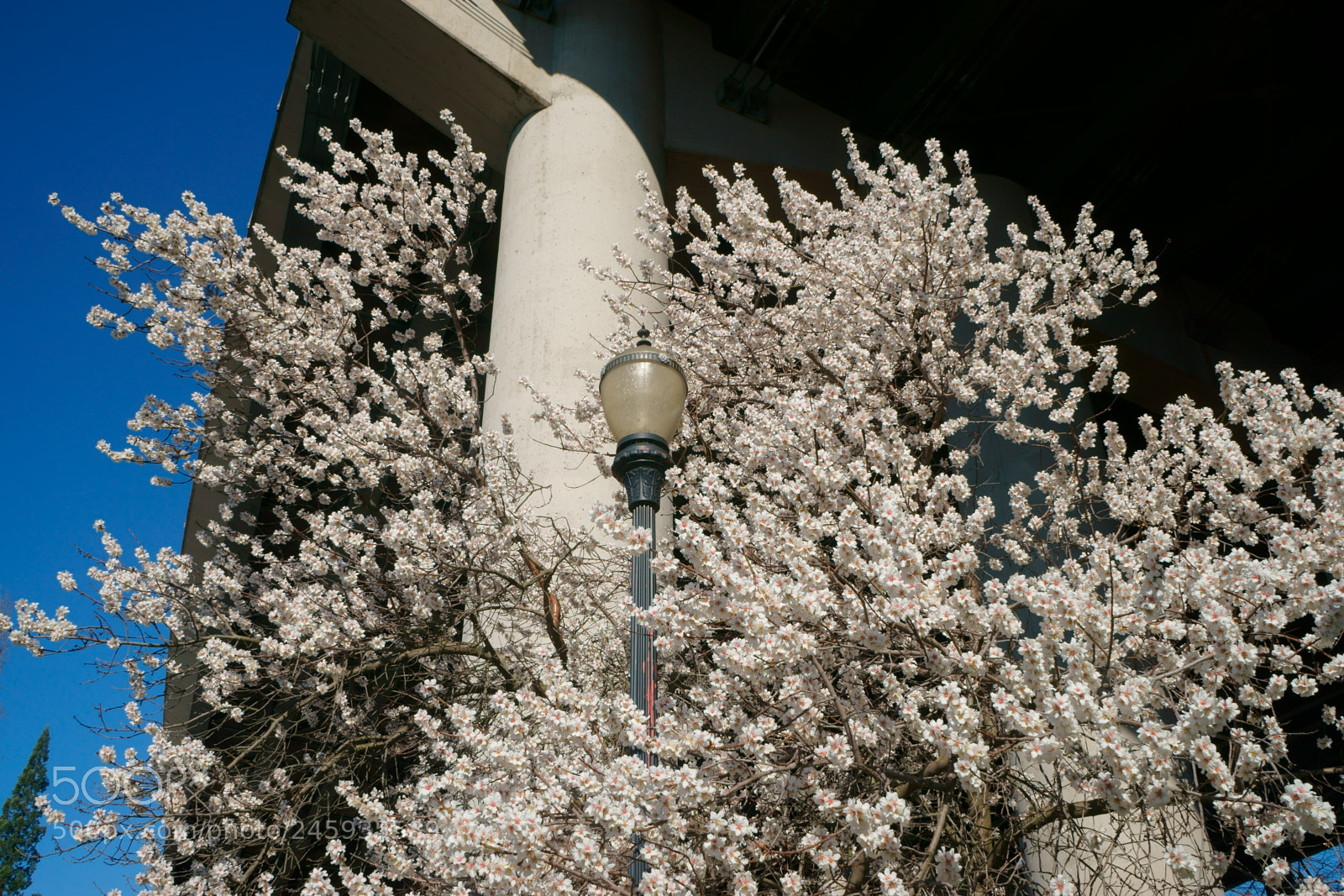 Sony a7 sample photo. Portland today photography