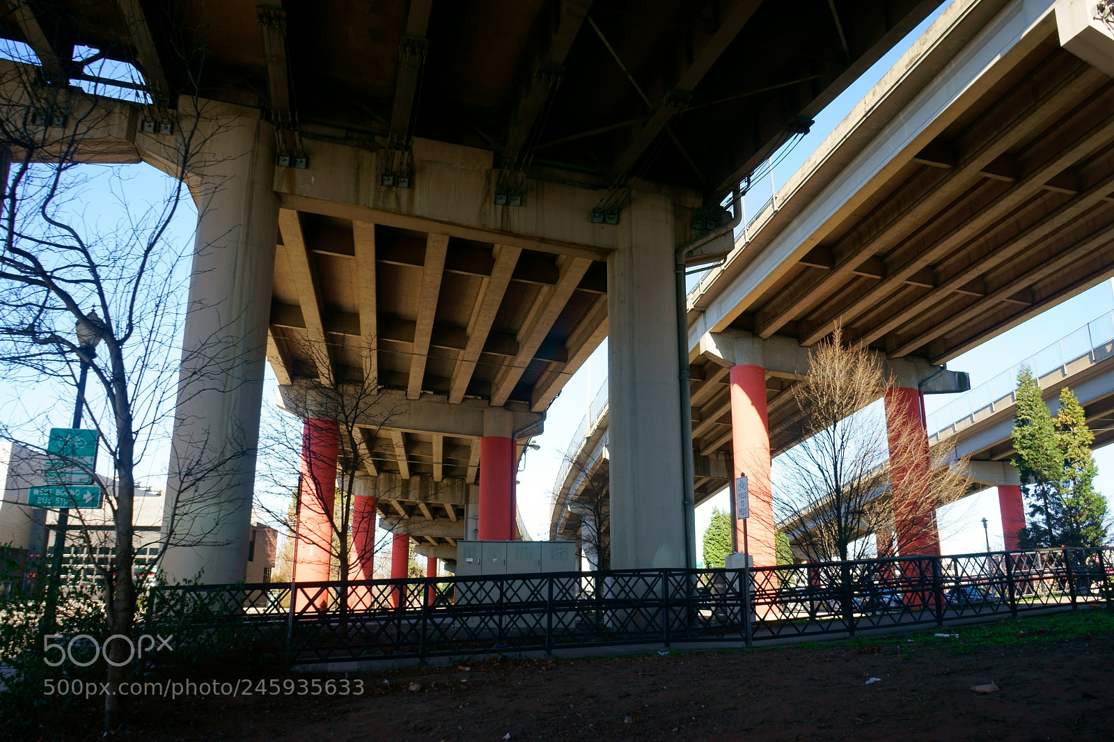 Sony a7 sample photo. Portland today photography
