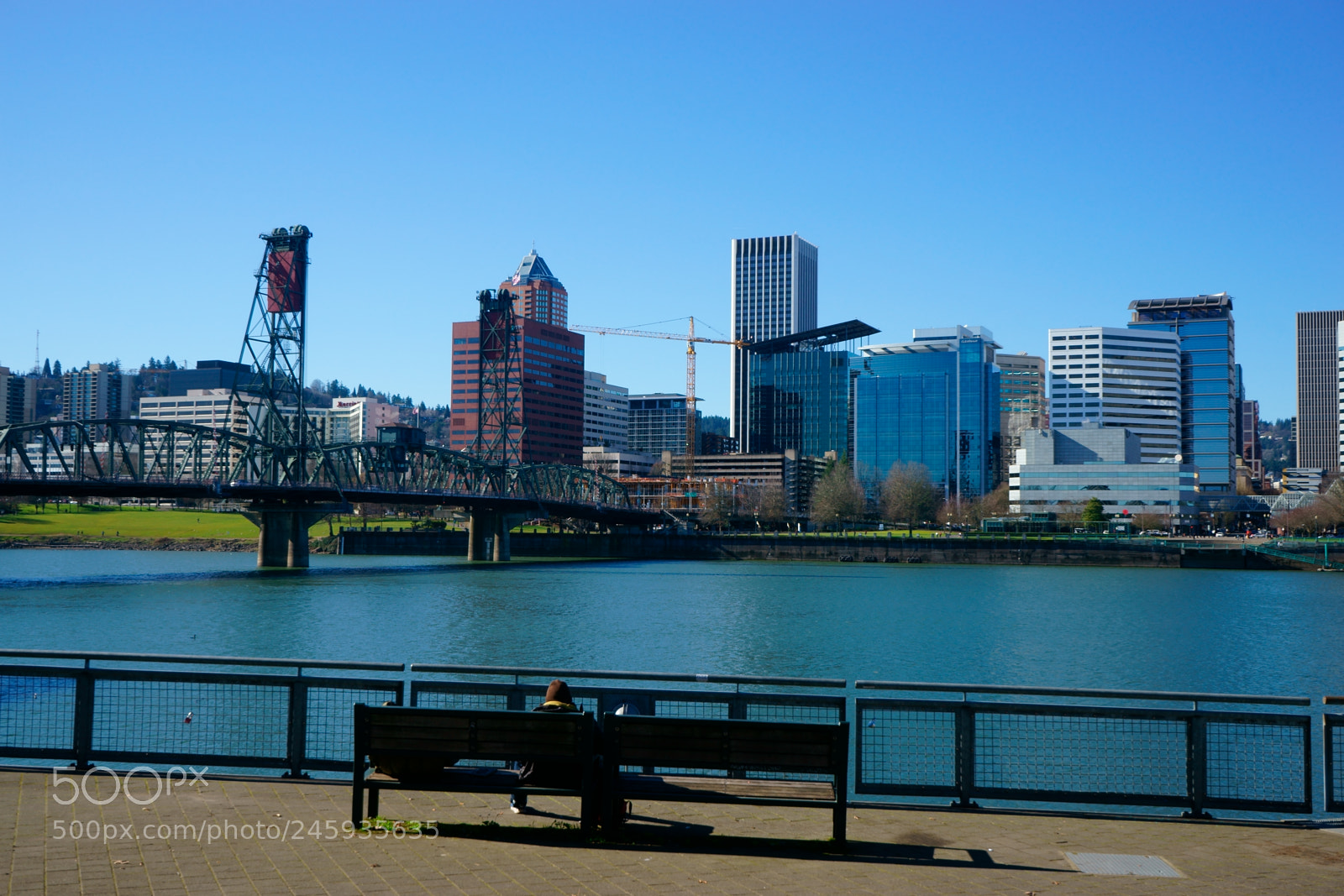 Sony a7 sample photo. Portland today photography