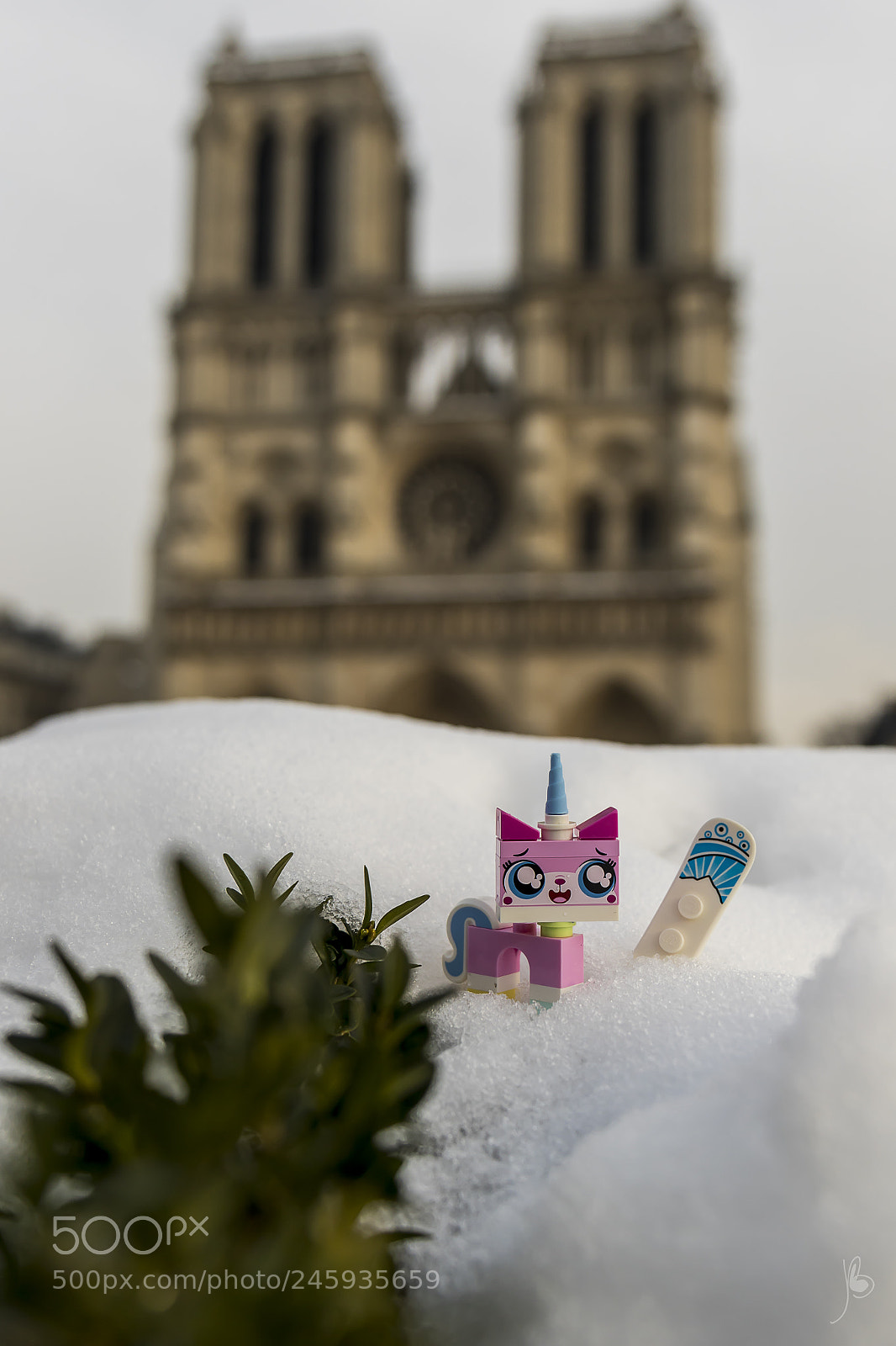 Canon EOS 7D Mark II sample photo. Unikitty wants to snowboard photography