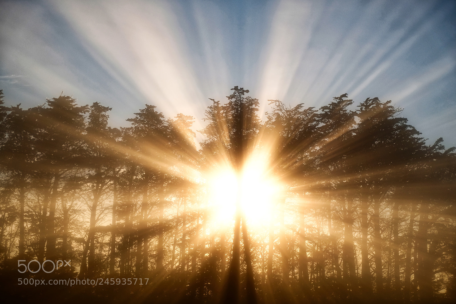 Fujifilm X-T2 sample photo. Sunrise through the mist photography