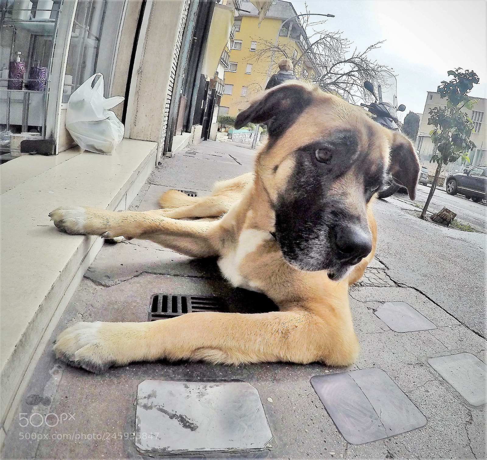 GoPro Hero5 Black sample photo. Eva photography
