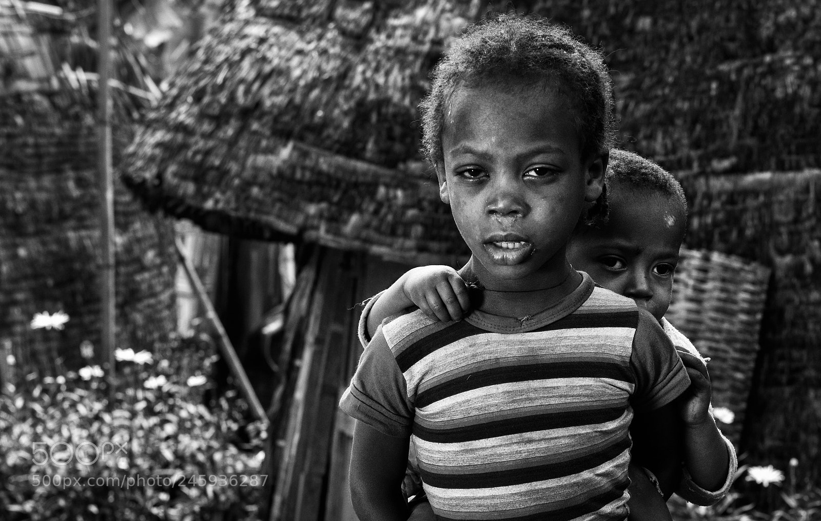 Nikon D810 sample photo. Untitled photography