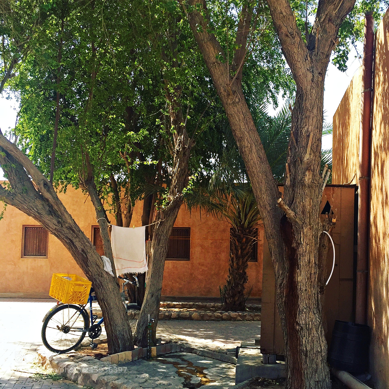Apple iPhone 6 sample photo. Bike photography