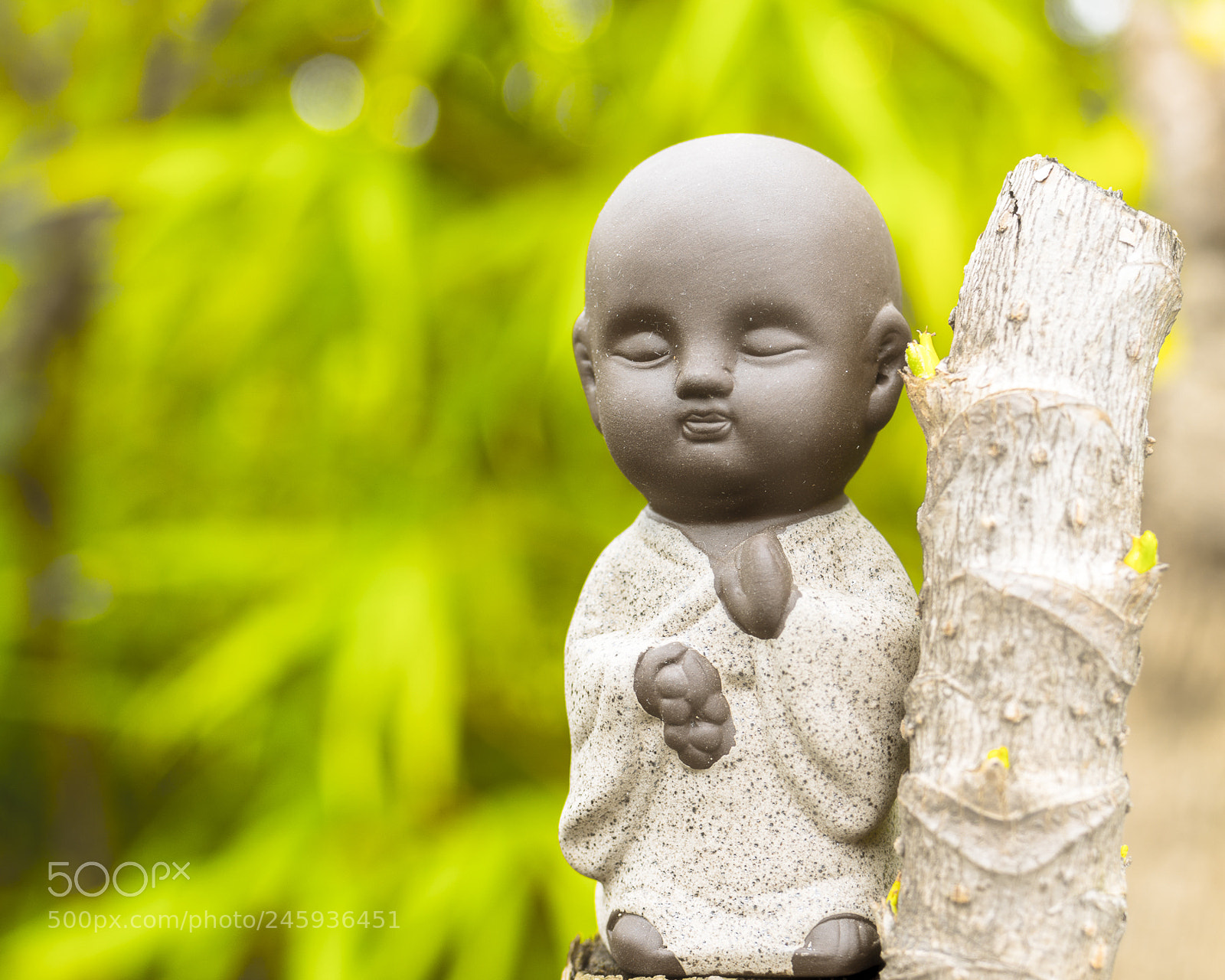 Nikon D7100 sample photo. Untitled photography