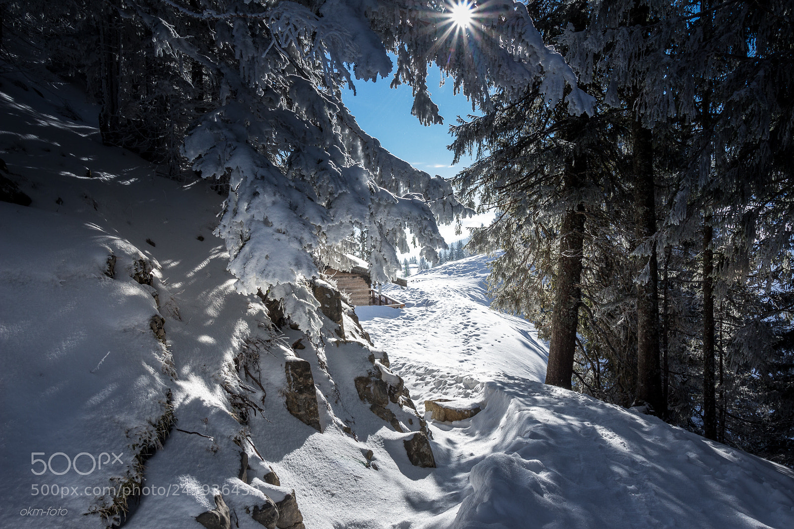 Canon EOS 700D (EOS Rebel T5i / EOS Kiss X7i) sample photo. Winter trail photography