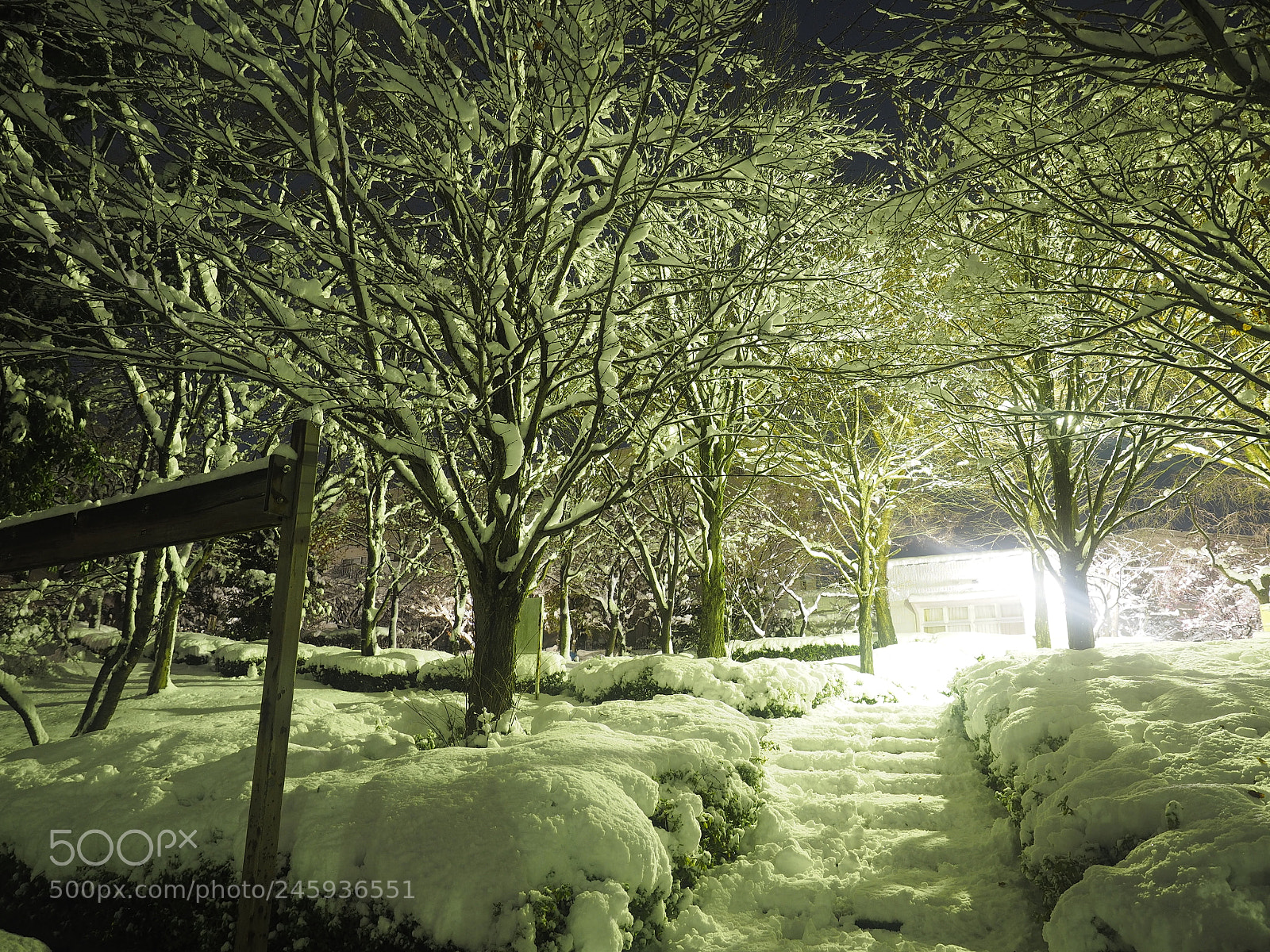 Olympus OM-D E-M1 sample photo. Night snow scene photography