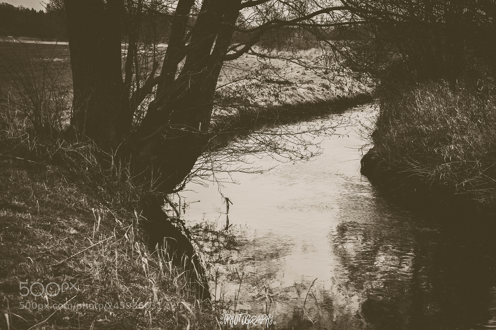 Nikon D5500 sample photo. Fluss an der burg photography