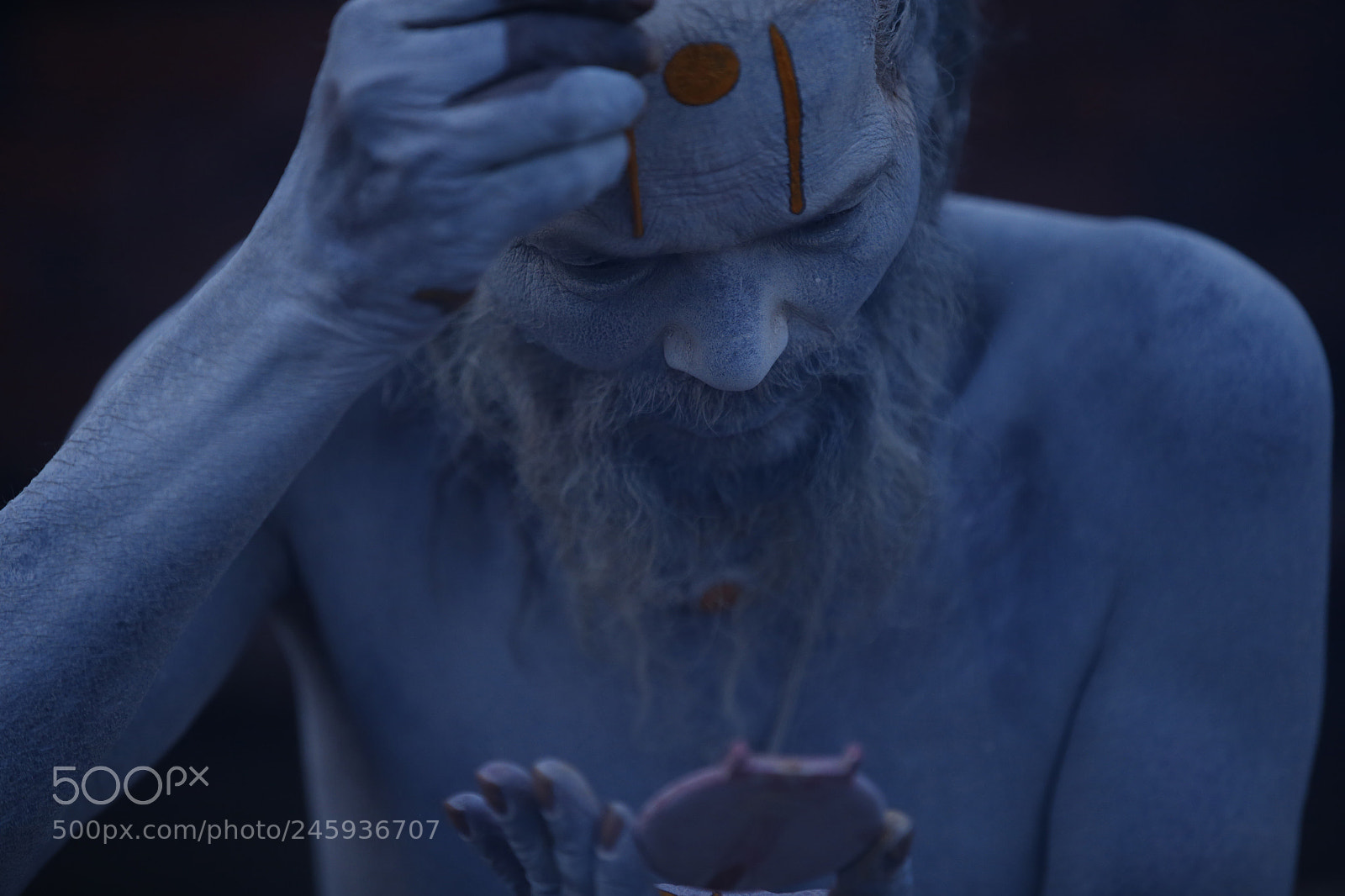 Canon EOS-1D X sample photo. Maha shivaratri festival 2018 photography