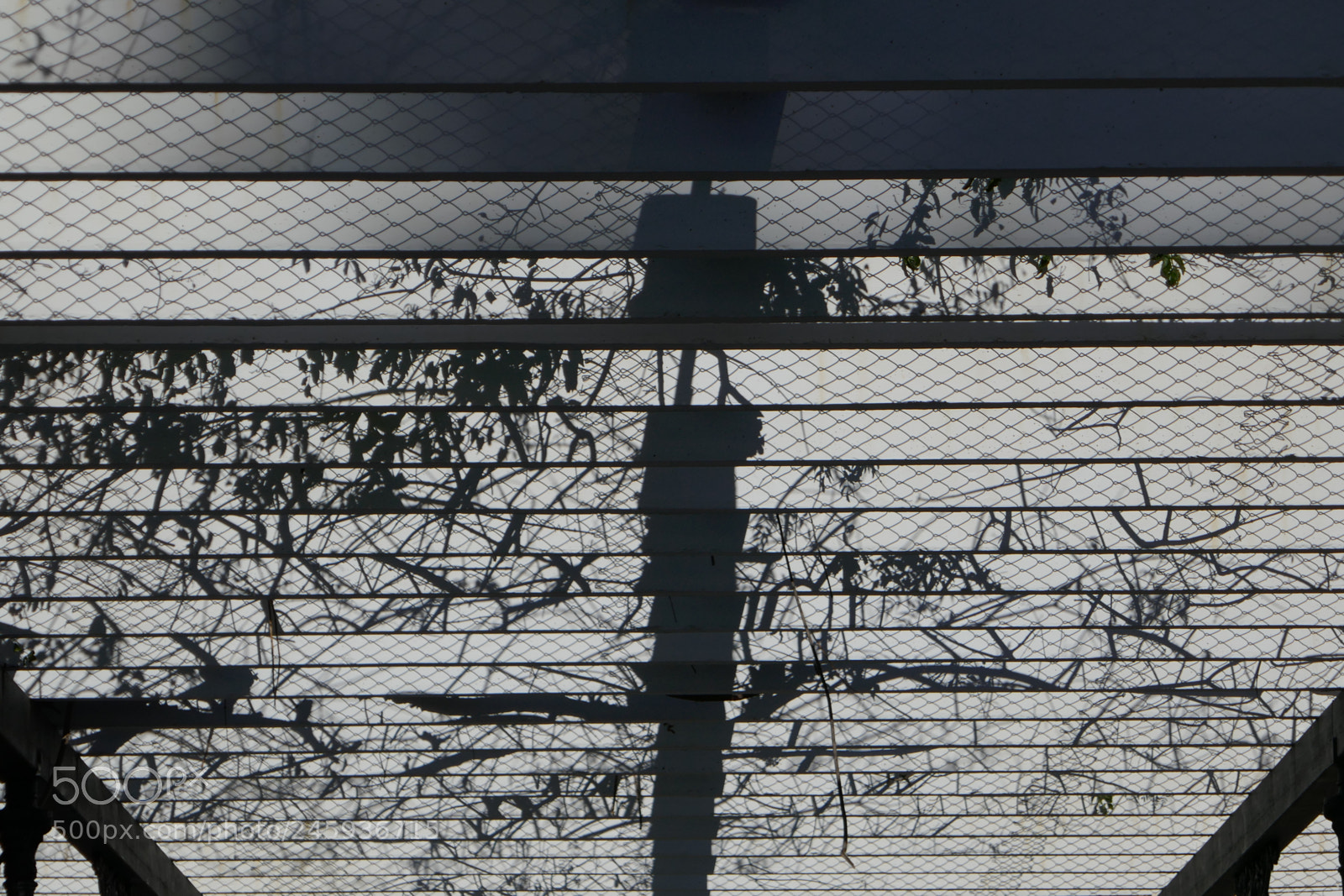 Panasonic Lumix DMC-ZS100 (Lumix DMC-TZ100) sample photo. Shadows photography