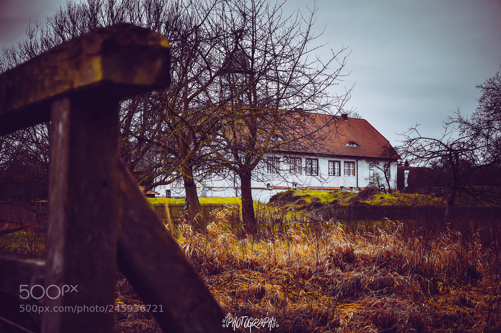 Nikon D5500 sample photo. Burg brome photography