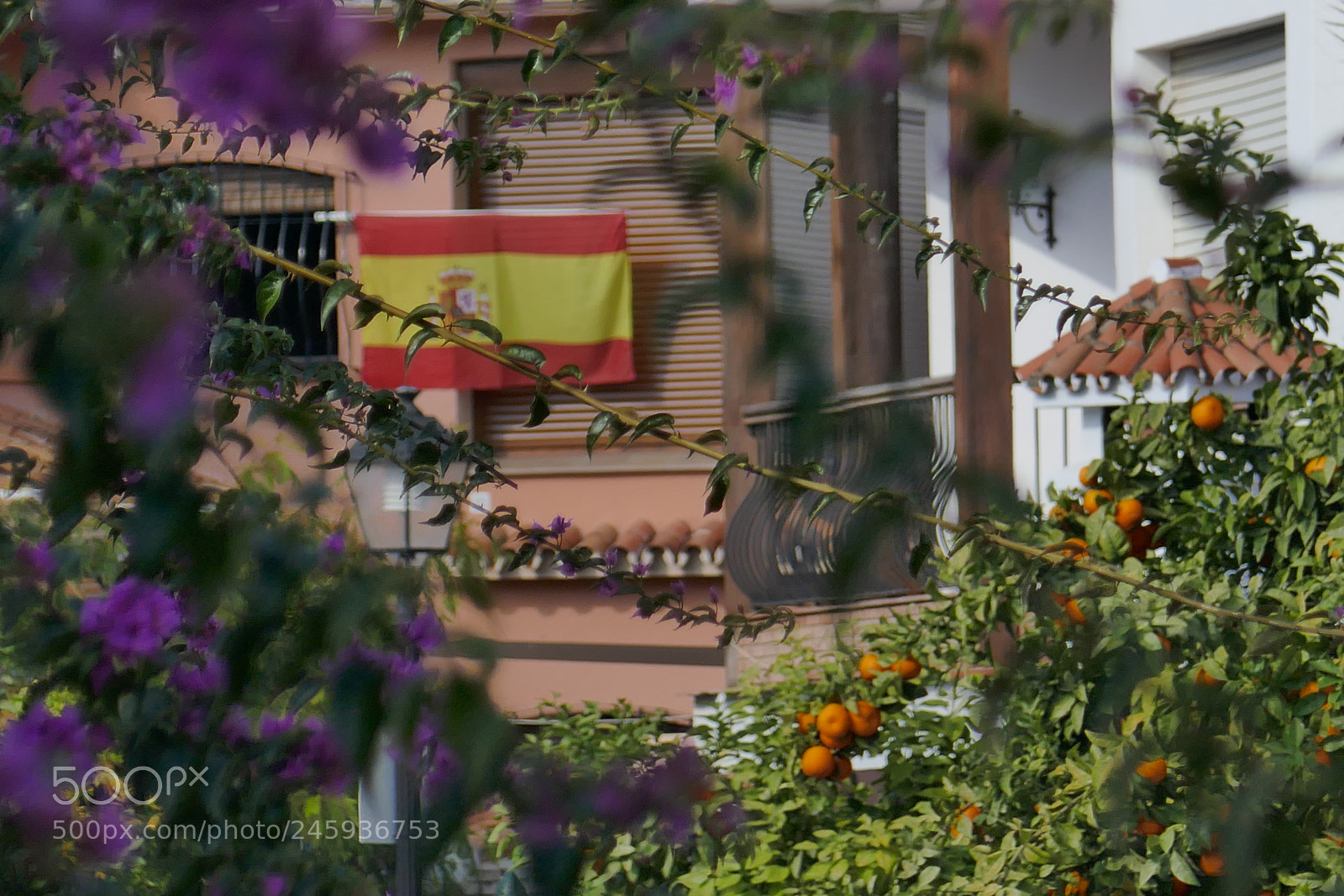 Panasonic Lumix DMC-ZS100 (Lumix DMC-TZ100) sample photo. Spanish flag photography