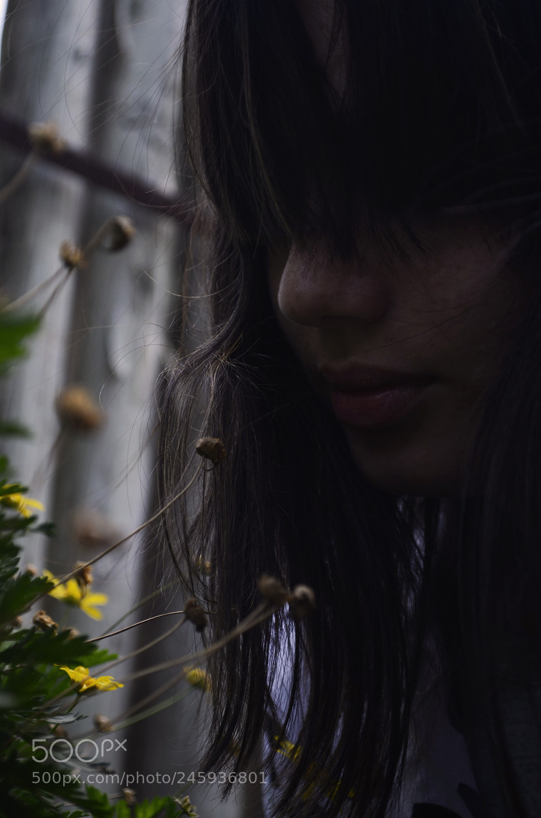 Nikon D5100 sample photo. Apreciate the nature photography