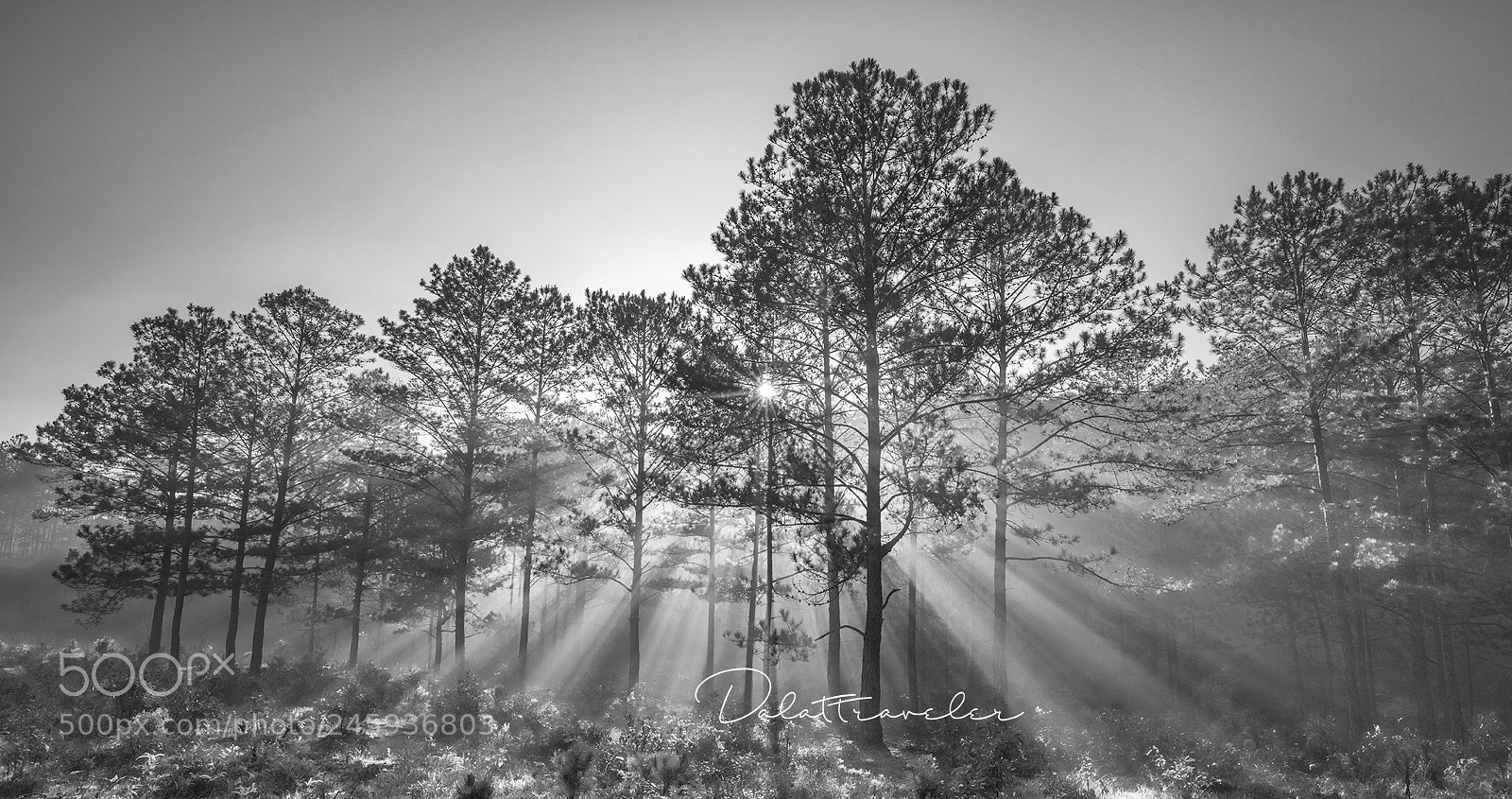 Canon EOS 5DS R sample photo. Sunlight photography