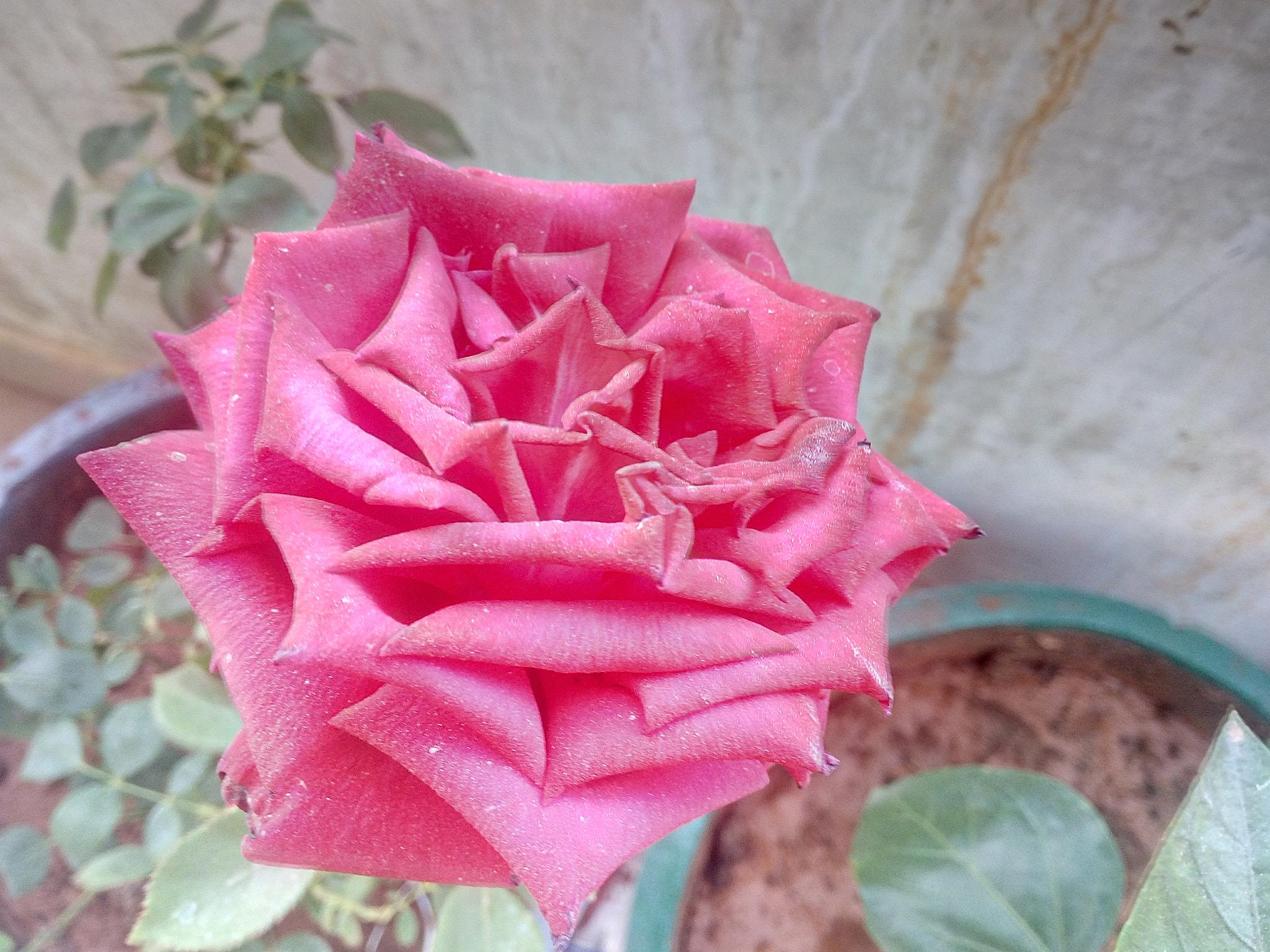 Lava X10 sample photo