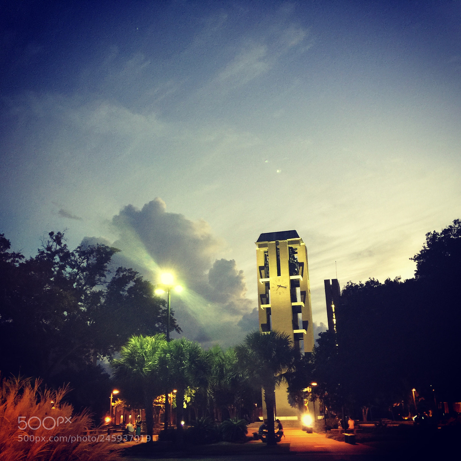 Apple iPhone 6 Plus sample photo. Untitled photography