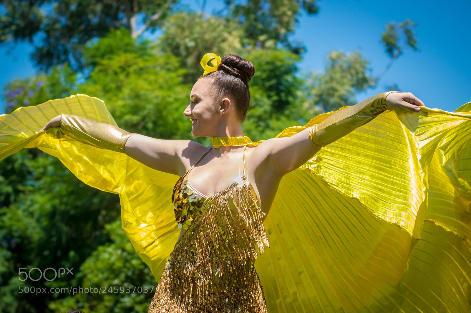 Nikon D7200 sample photo. The golden girl photography