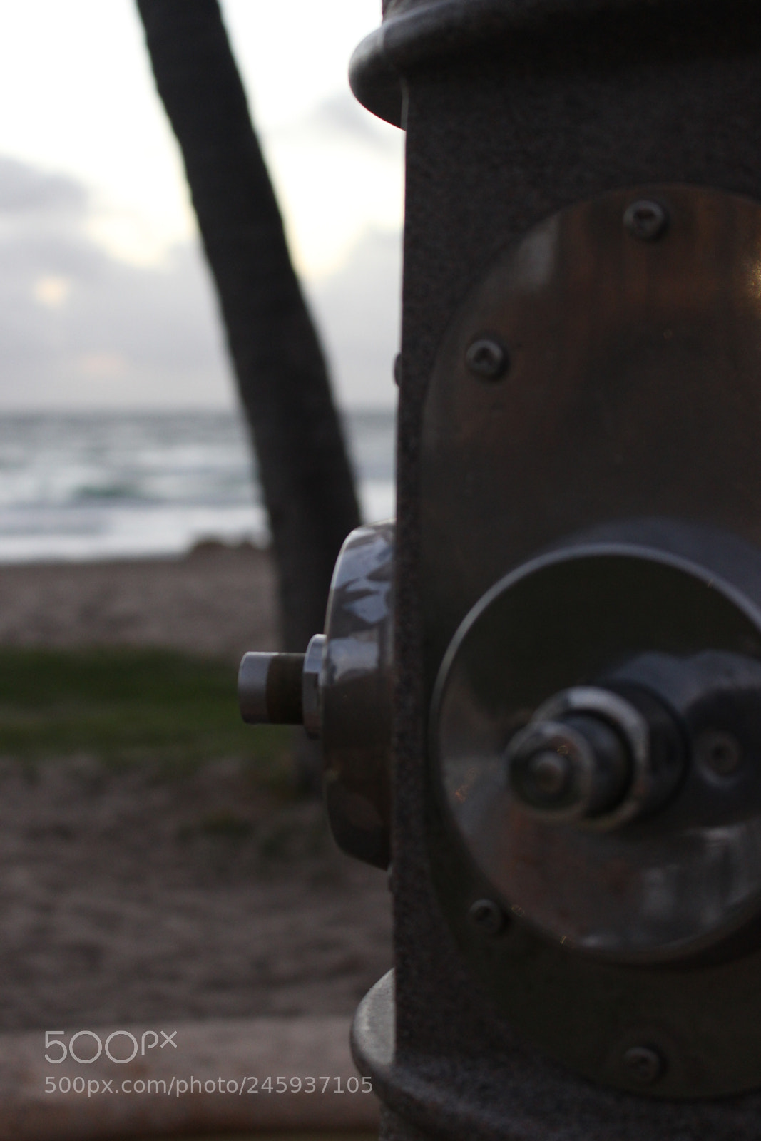 Canon EOS 700D (EOS Rebel T5i / EOS Kiss X7i) sample photo. Showers in deerfield beach photography