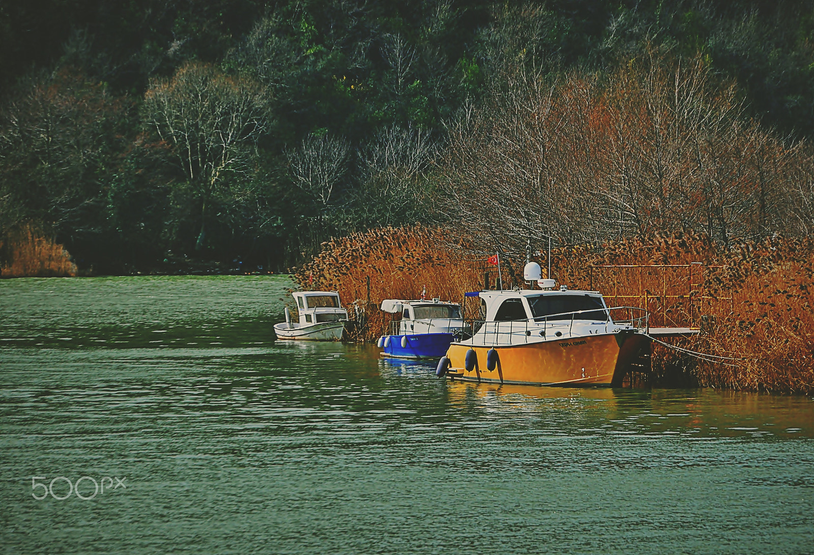 Nikon D5000 sample photo. ** photography
