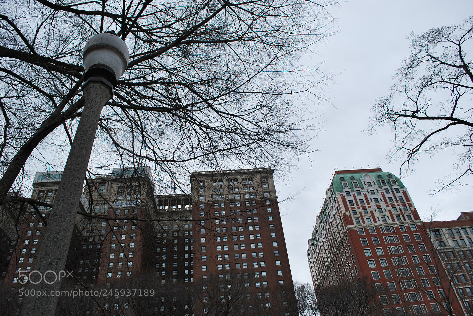 Nikon D60 sample photo. Untitled photography