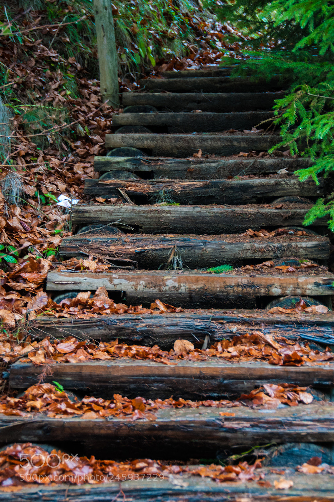 Nikon D300S sample photo. Stairway photography