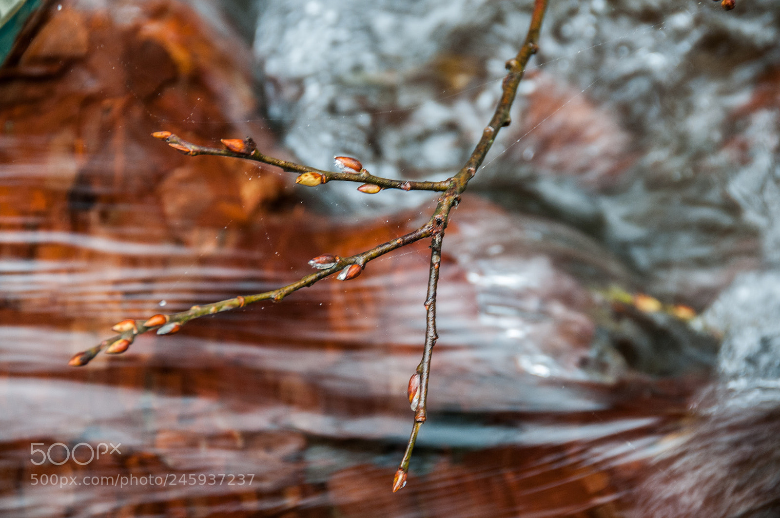 Nikon D300S sample photo. Waterfall whisper photography