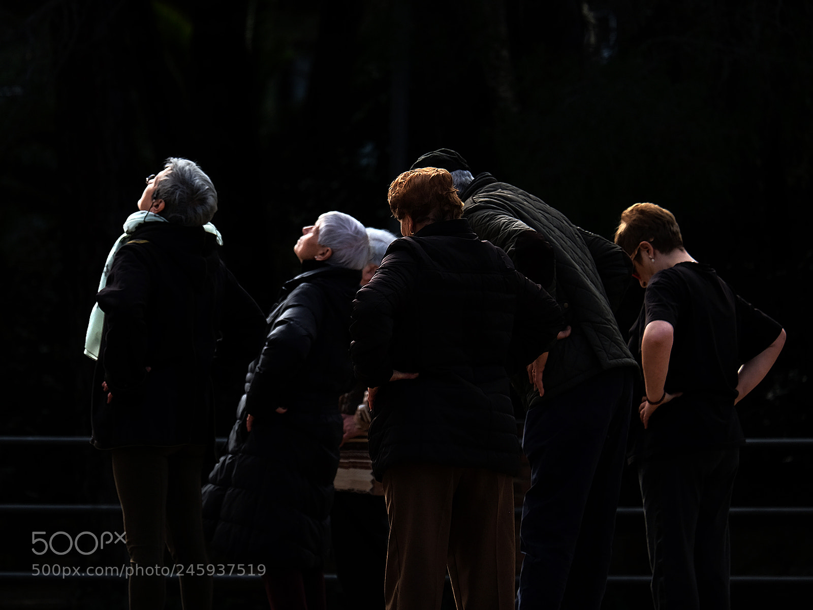 Fujifilm X-T10 sample photo. Untitled photography