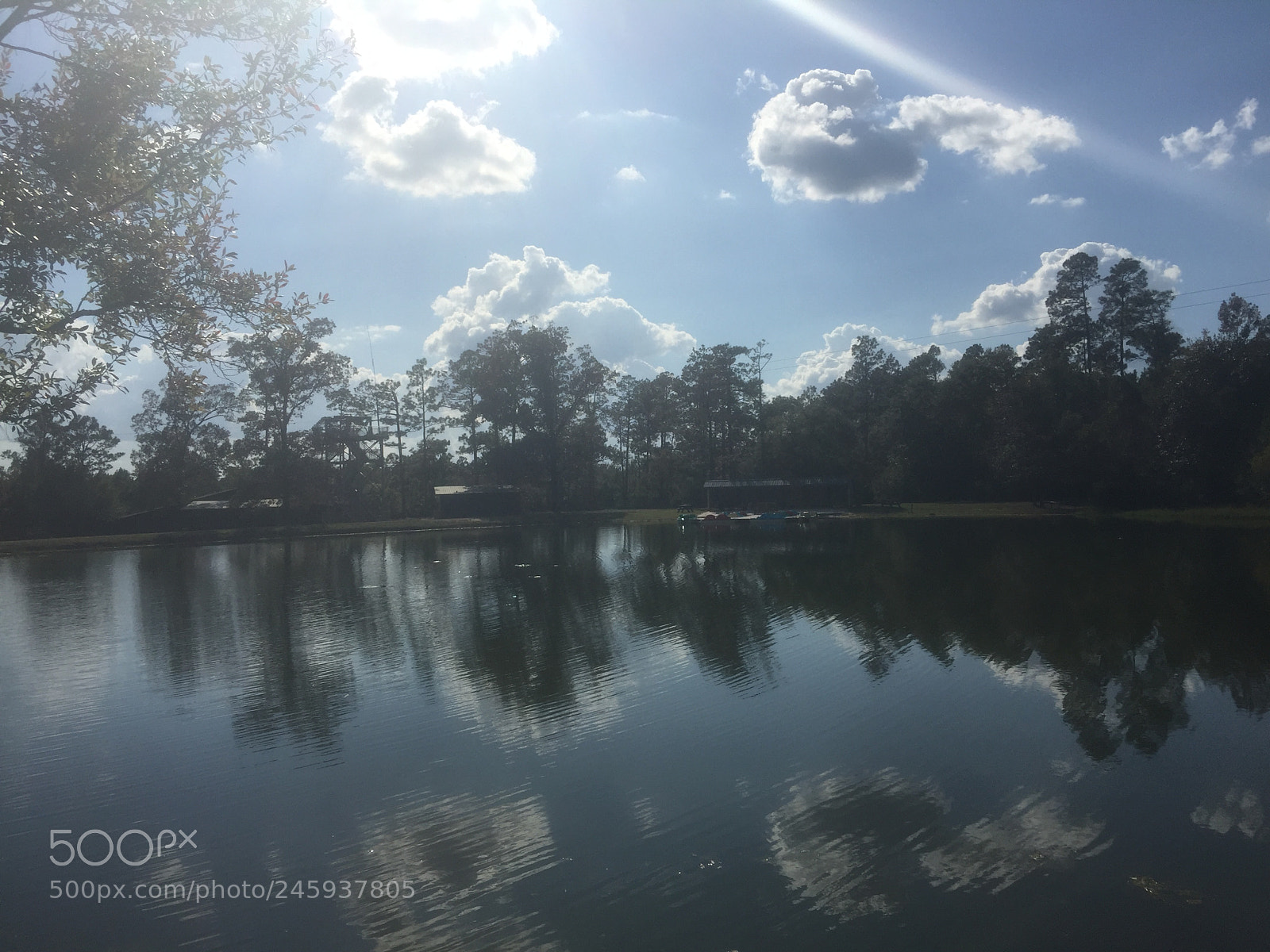 Apple iPhone 6 Plus sample photo. Untitled photography