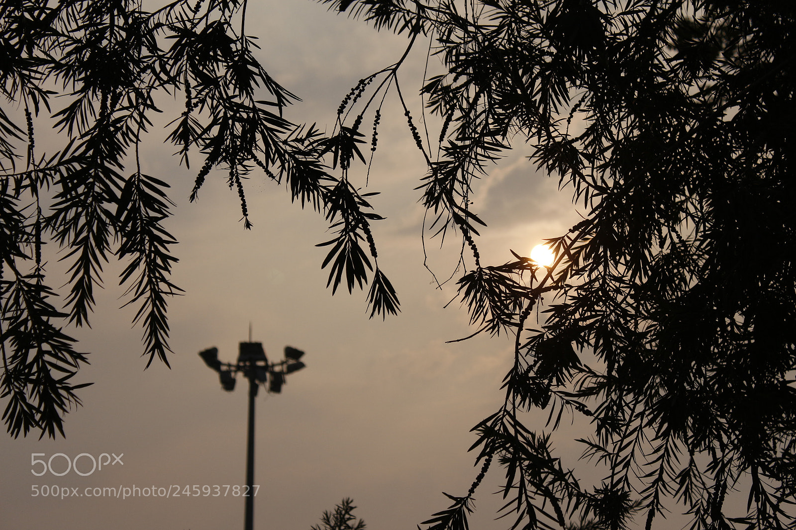 Canon EOS 700D (EOS Rebel T5i / EOS Kiss X7i) sample photo. Sunset photography