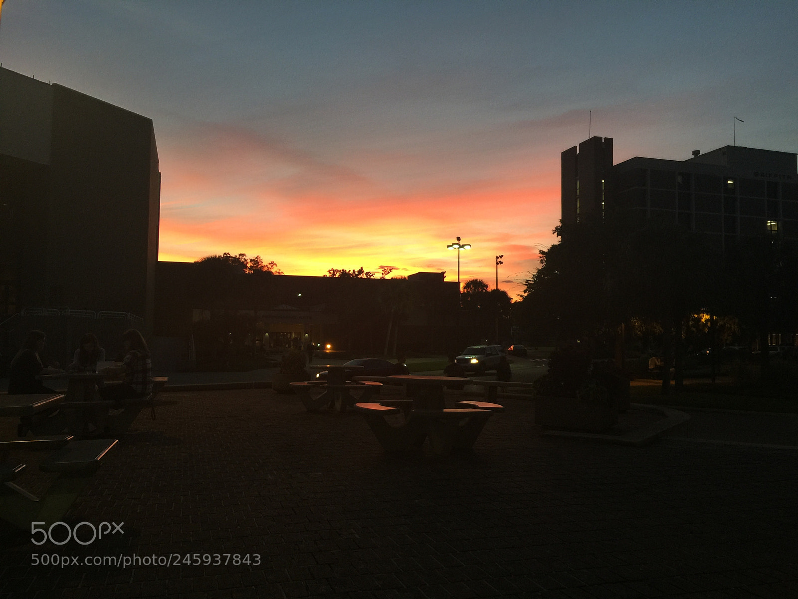 Apple iPhone 6 Plus sample photo. Untitled photography