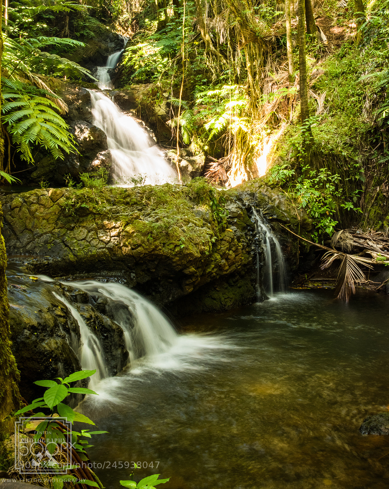 Pentax K-1 sample photo. Onomea falls photography
