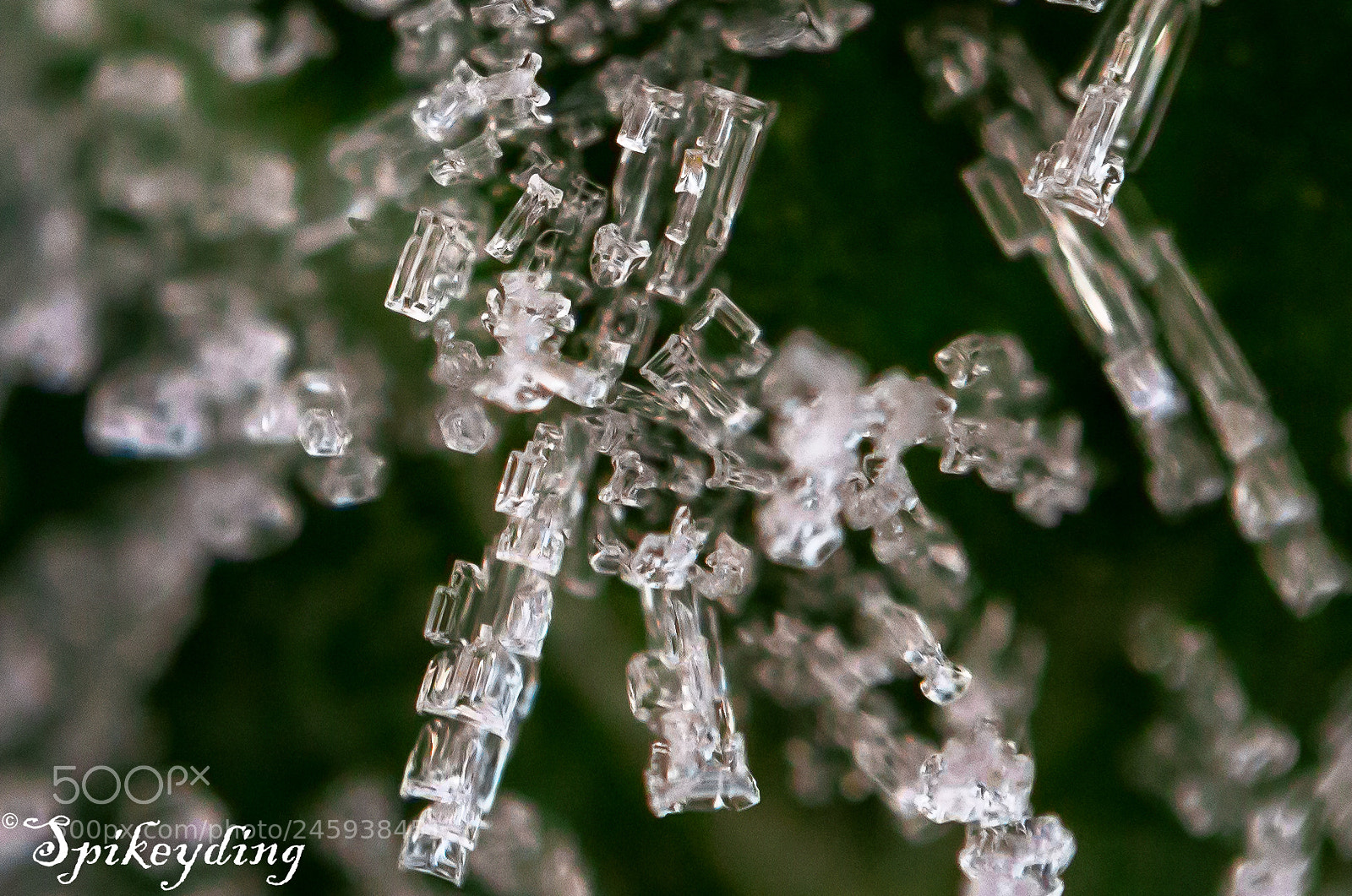 Canon EOS 700D (EOS Rebel T5i / EOS Kiss X7i) sample photo. Frost photography