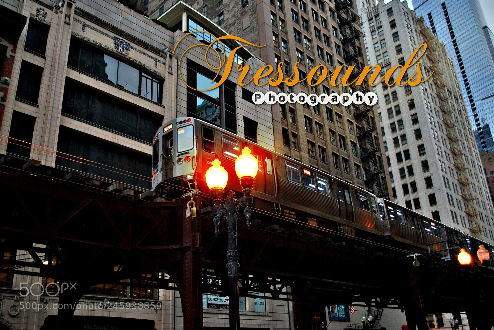 Nikon D60 sample photo. Untitled photography