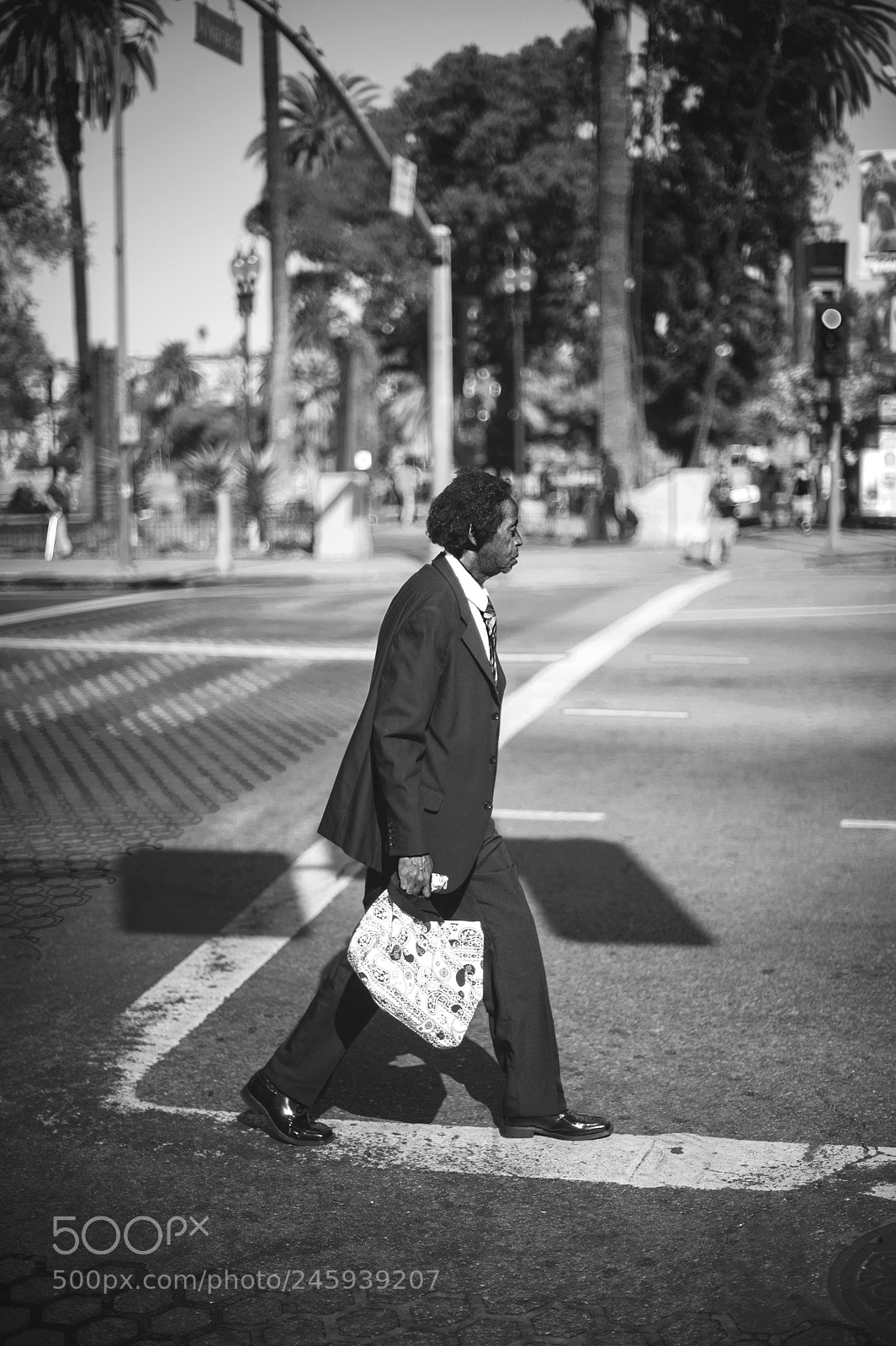 Nikon D700 sample photo. A quiet dignity i photography