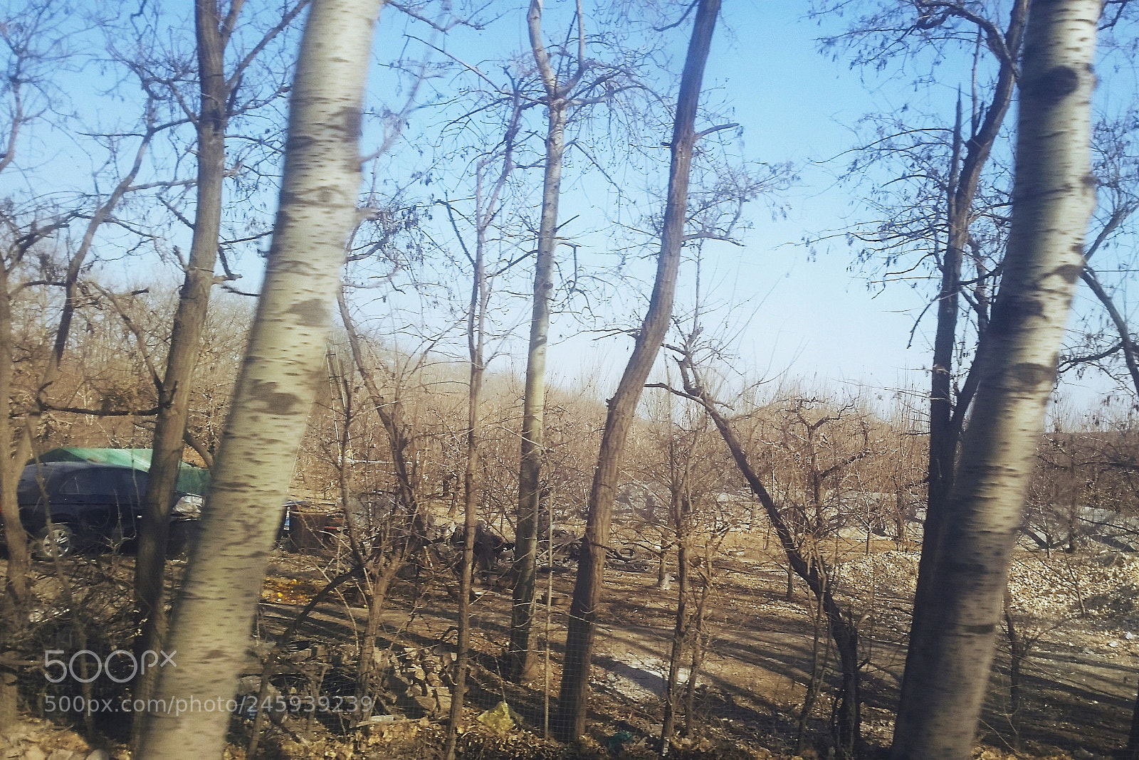 Samsung Galaxy S5 sample photo. A car in an photography