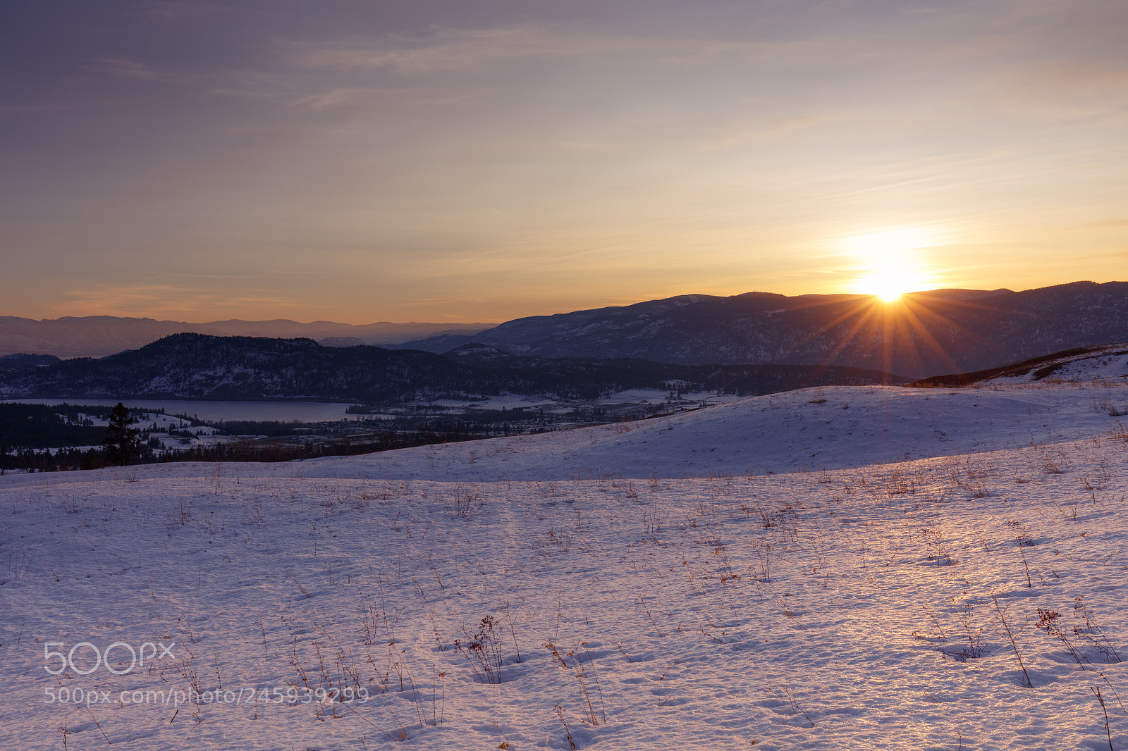 Canon EOS 5DS R sample photo. Frozen photography